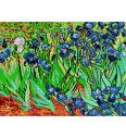Gobelin Irisi | Vincent van Gogh | 36x48cm