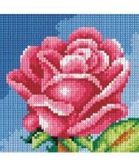 ORCHIDEA Gobelin Cvet vrtnice | 15x15cm 2445D