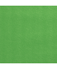 Nooteboom Filc | 1,5 mm | 100%PL 07070