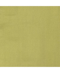 Nooteboom Bengalin Pikice | zelena | 74%VI / 22%PA / 4%EL 15192.023