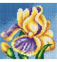 Gobelin Cvet irisa | 15x15cm