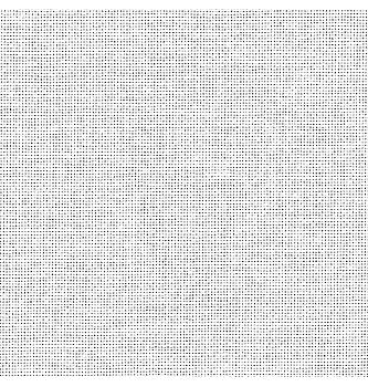 Platno za vezenje Lugana | 25ct | bela | 140cm | 52%CO / 48%MD