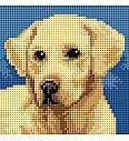 Gobelin Labradorec | 15x15cm