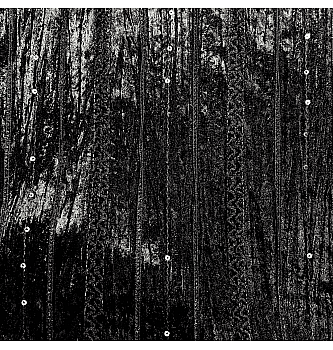 Pliš Šljokice i struktura | crna | 100%PL