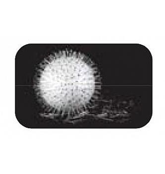 Male pribadače| 13mm | 25g (prib. 270kom)