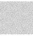 Patchwork tkanina Freckle white  | 110cm