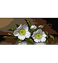 Gobelin Bijele Cherokee ruže | Martin Johnson Heade | 24x51cm