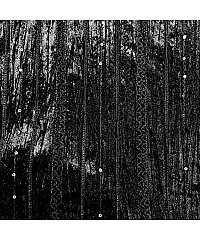 Ltex Pliš Šljokice i struktura | crna | 100%PL 60752.069