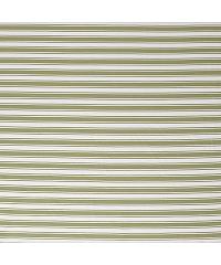 Nooteboom Jersey Duple crte | olivna | 95%CO / 5%EL 26603.026