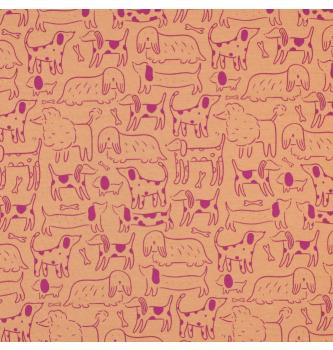 Jersey Pasja druščina | marelična | 95%CO / 5%EL