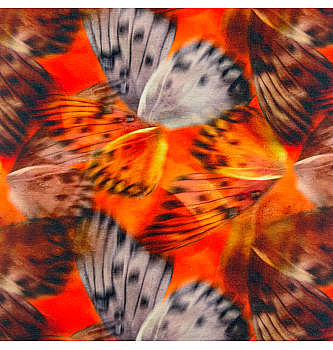 Viskozni jersey Let metulja | digitalni tisk | oranžna | 95%VI / 5%EL