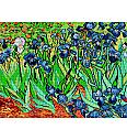 Gobelin Irisi | Vincent van Gogh | 36x48cm