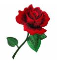 Našitek Velika rdeča vrtnica