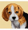 Gobelin set Beagle | 13,5x13,5 cm (komplet s prejicami)