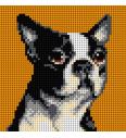 Gobelin Boston Terrier | 15x15cm