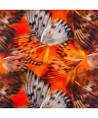 KH Group Viskozni jersey Let metulja | digitalni tisk | oranžna | 95%VI / 5%EL S1908-1106