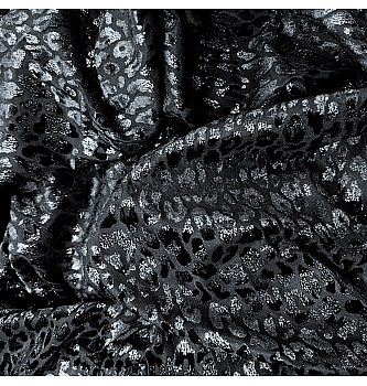Mrežica Žametni leopard | črna/srebrna | 68%PL / 24%PA / 8% EL