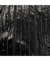 Ltex Pliš Bleščeče vertikale | črna | 100%PL 60752.069