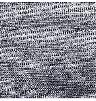 Blago z nanosom Srebrni relief | 67%PL / 33%PU