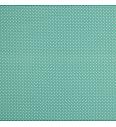 Poplin s pikicami | 100%CO