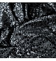 Mrežica Žametni leopard | črna/srebrna | 68%PL / 24%PA / 8% EL