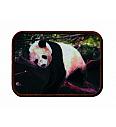 Našitek Panda | foto